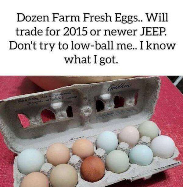 Egg-ceptional Egg Price Memes That Will Crack You Up