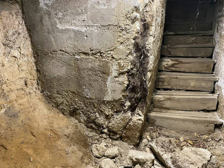 Horrors Found During Structural Inspections