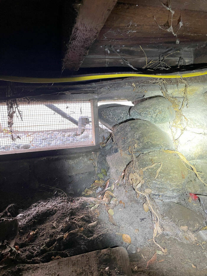 Horrors Found During Structural Inspections