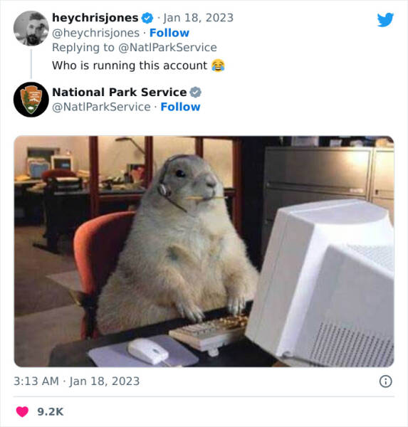 National Park Services Tweets Are Just Hilarious