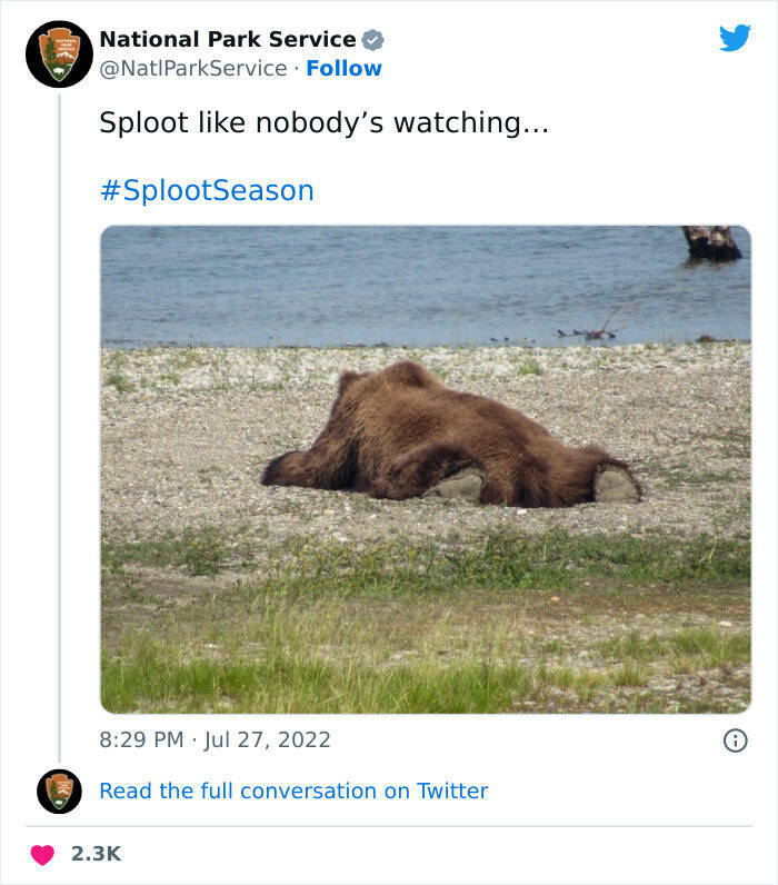 National Park Services Tweets Are Just Hilarious