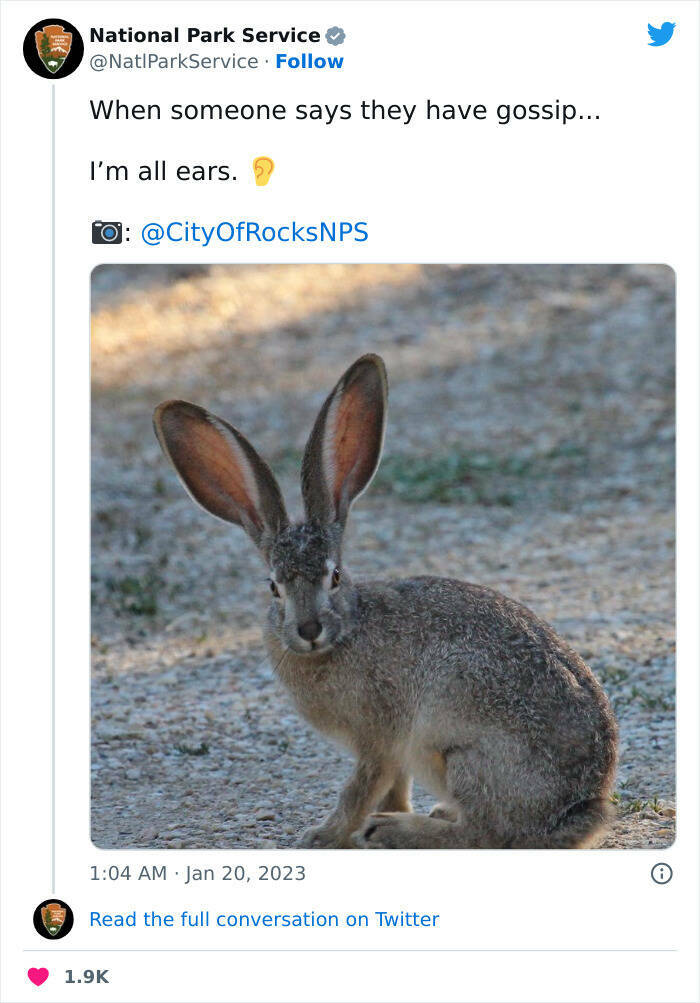 National Park Services Tweets Are Just Hilarious