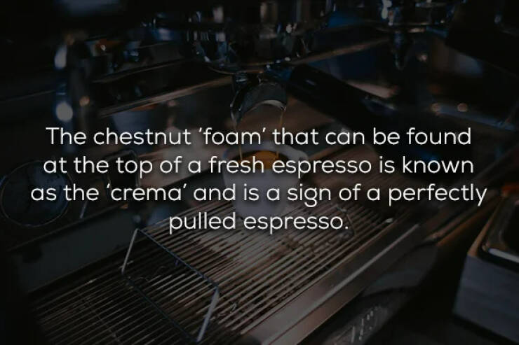 Espresso: A Stronger Cup Of Knowledge
