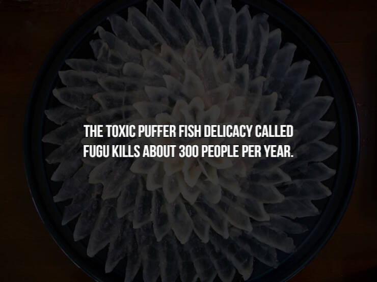 These Food Facts Are Somewhat Creepy…