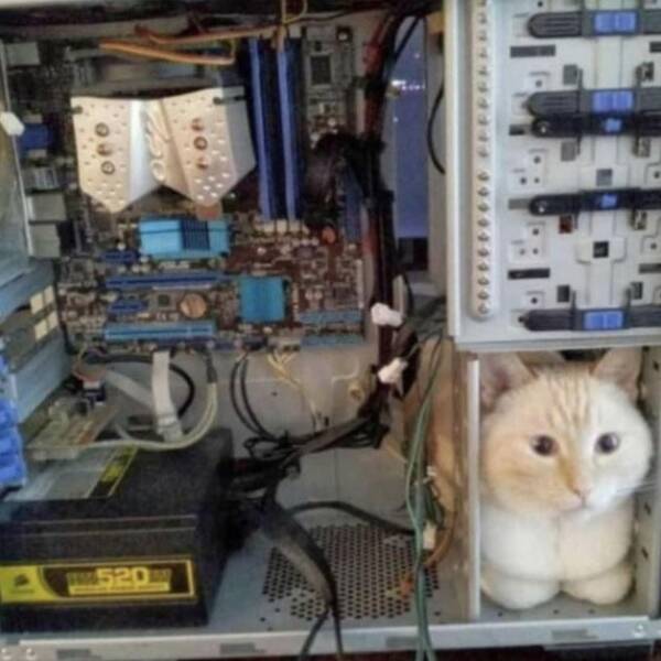 These Computers  Are Cursed