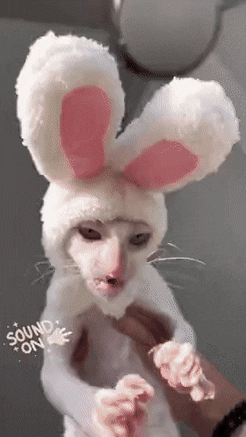 Daily Gifdump