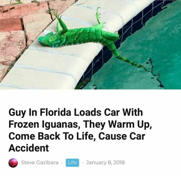 Only In Florida