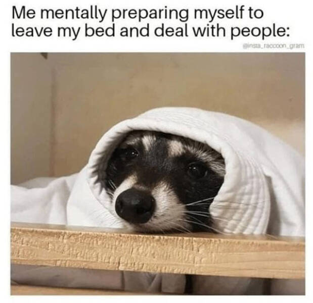 These Mental Health Memes  Are So Relatable