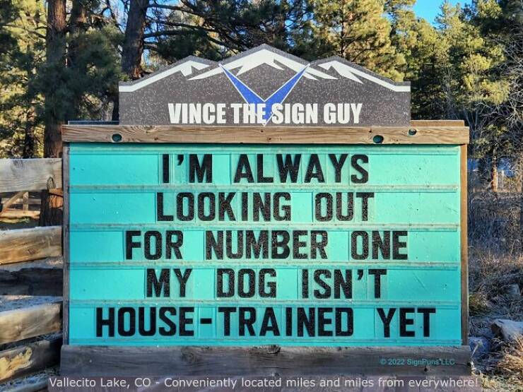 Hilarious Roadside Jokes That Make Your Drive More Delightful