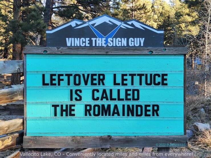 Hilarious Roadside Jokes That Make Your Drive More Delightful