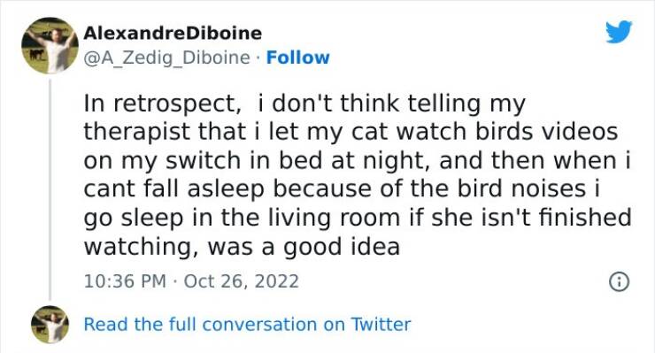 Purr-fectly Hilarious: The Funniest Cat Tweets