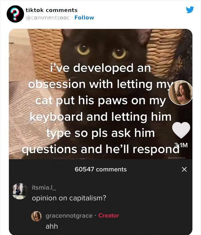 Weird, Funny, And Totally Unhinged TikTok Comments