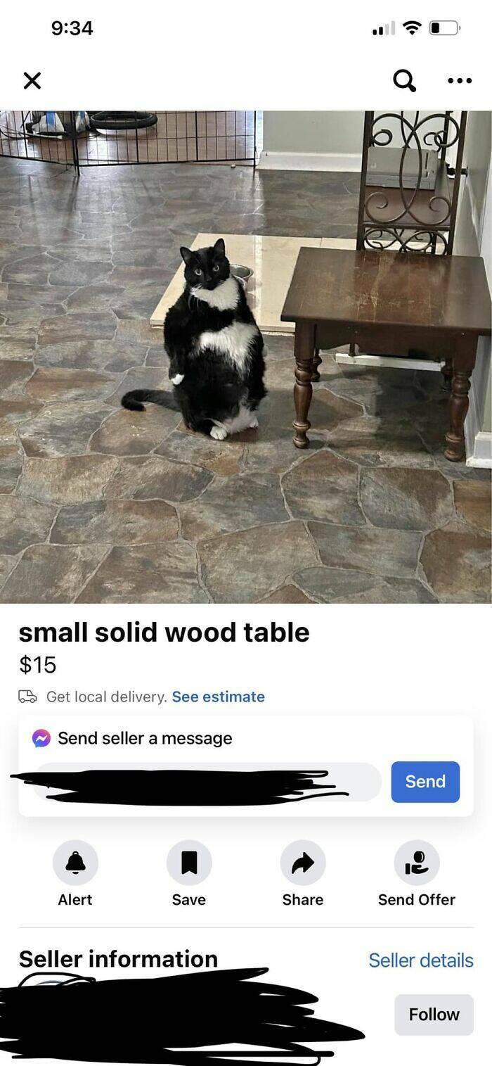 The Best Gems From Facebook Marketplace