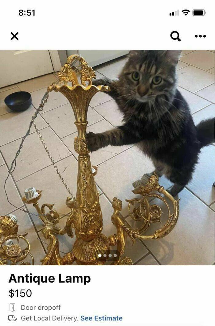 The Best Gems From Facebook Marketplace