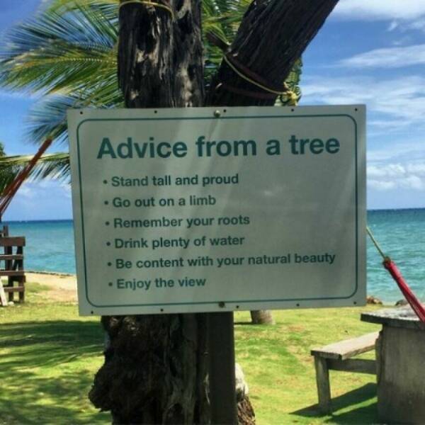 Such A Helpful Advice!