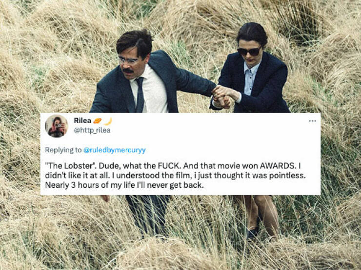 People Share The Most Odd And Obscure Movies They Have Watched