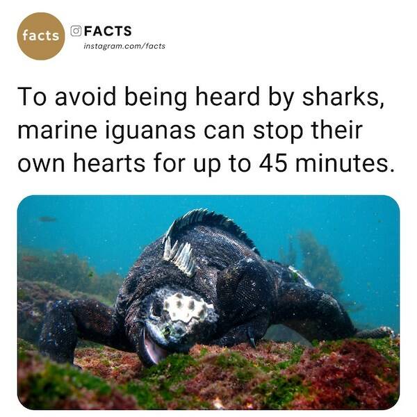 Bizarre And Mind-Blowing Facts