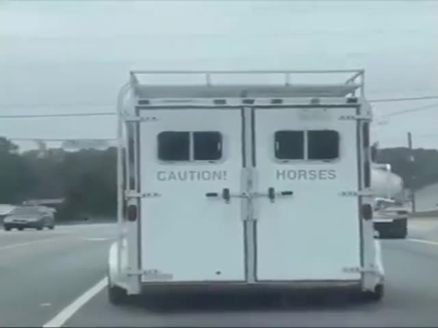 Caution, Horses!