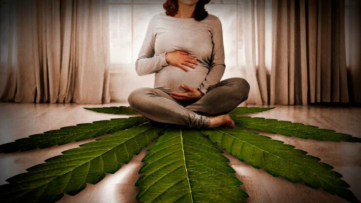 Cannabis and Pregnancy: What are the Risks?