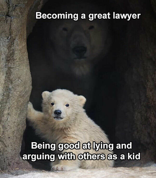Legal Humor: The Funniest Lawyer Memes