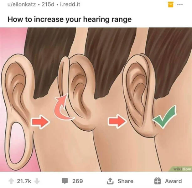 Ridiculous WikiHow Guides Turned Into Memes