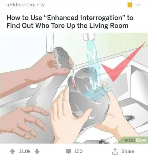Ridiculous WikiHow Guides Turned Into Memes