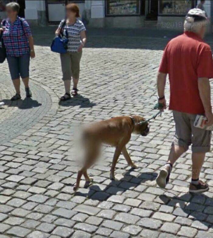 Google Maps Anomalies: Unexpected And Amusing Discoveries