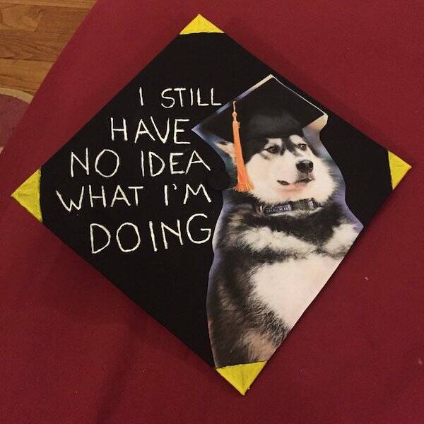 The Most Original Graduation Caps Of The Year
