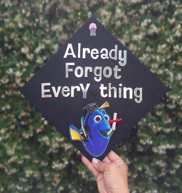 The Most Original Graduation Caps Of The Year