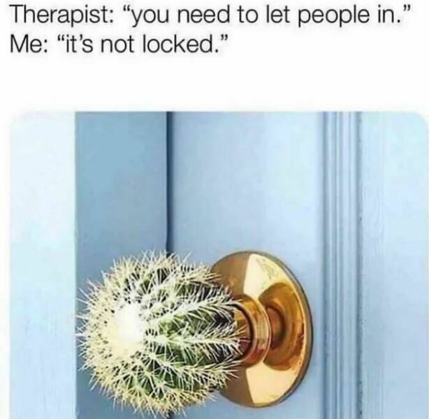 You Can Discuss These Memes With Your Therapist