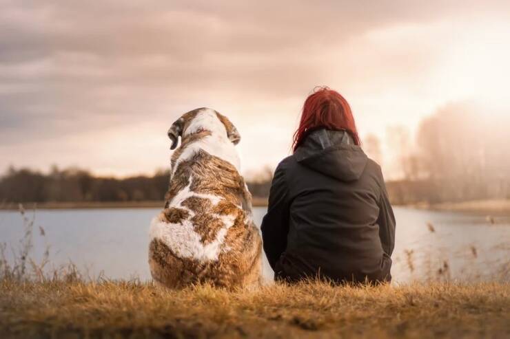 How Pets Can Aid In Your Addiction Recovery