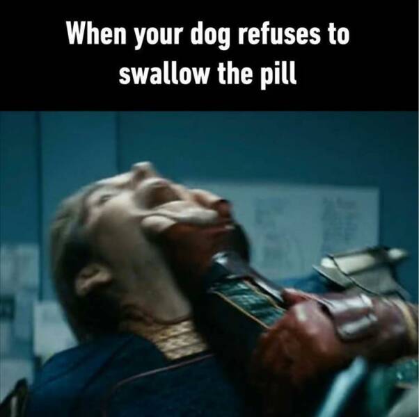 Funny Picdump Funny Picdump
