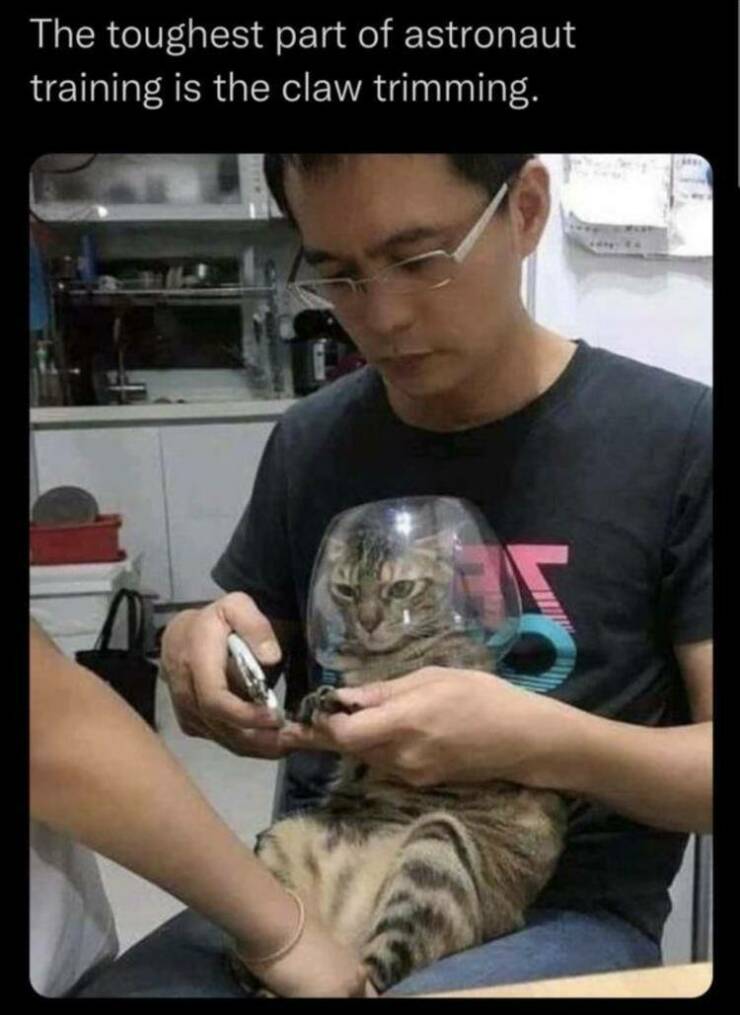 Funny Picdump Funny Picdump