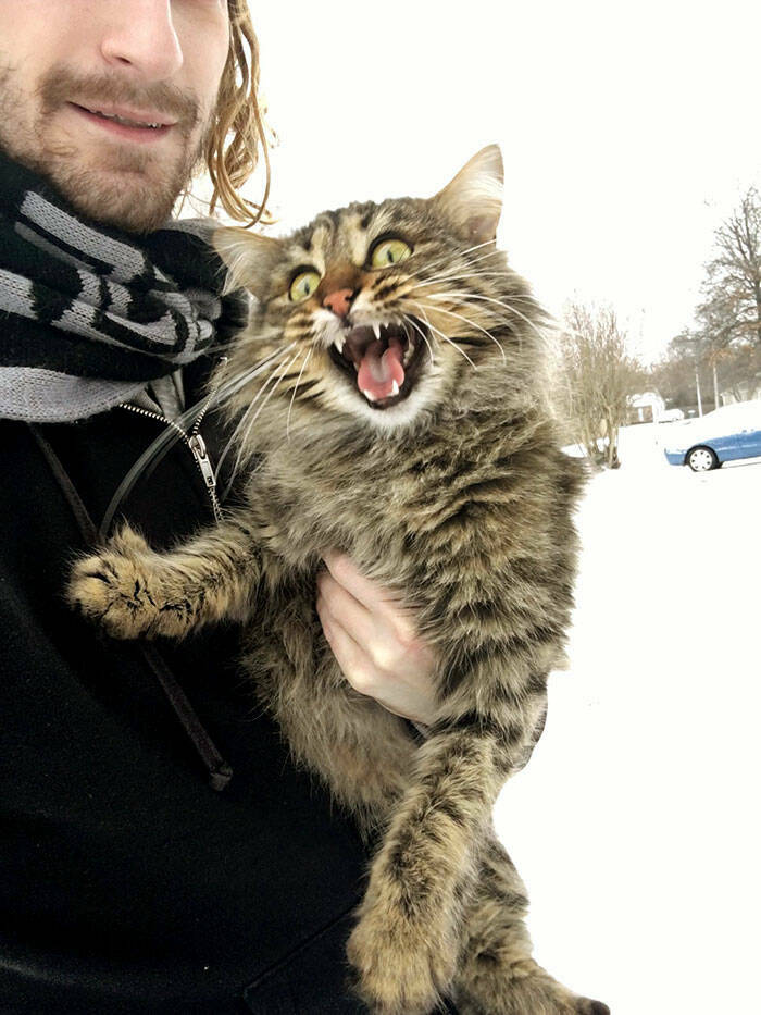 Hilarious Reactions Of Pets Trying New Things