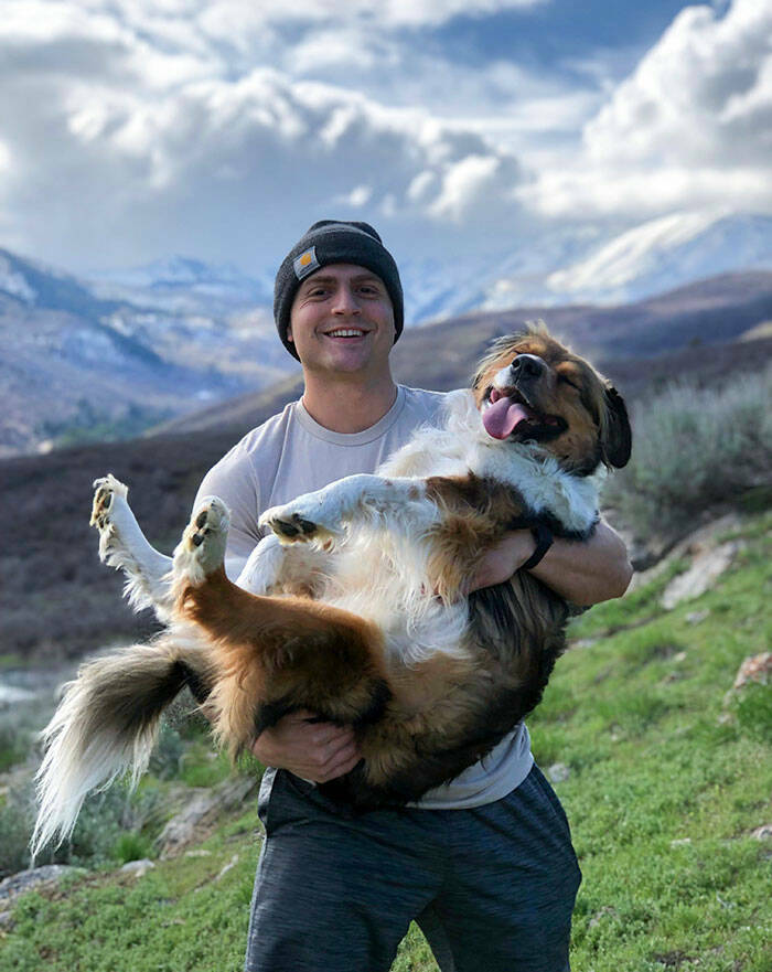 Hilarious Reactions Of Pets Trying New Things