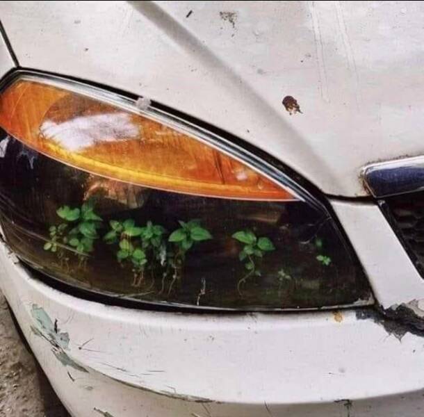 Morning Picdump