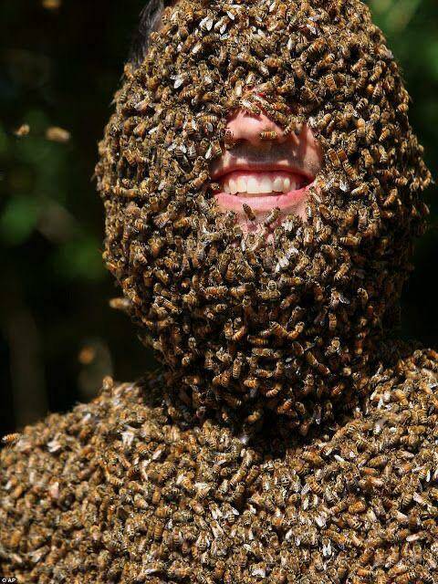 Morning Picdump