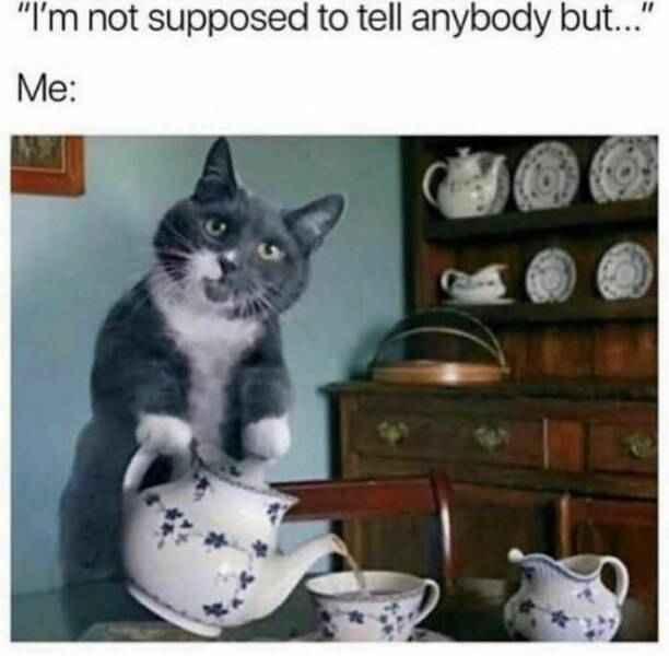 These Memes Are Both Funny And Relatable