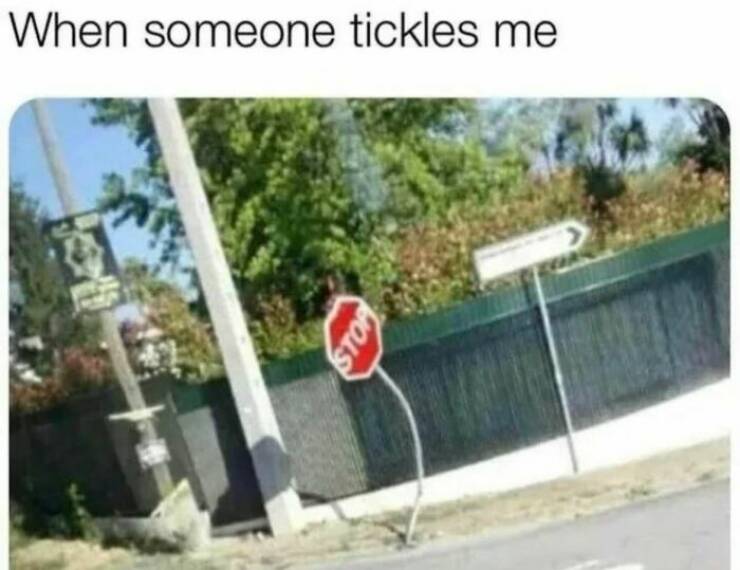 These Memes Are Both Funny And Relatable