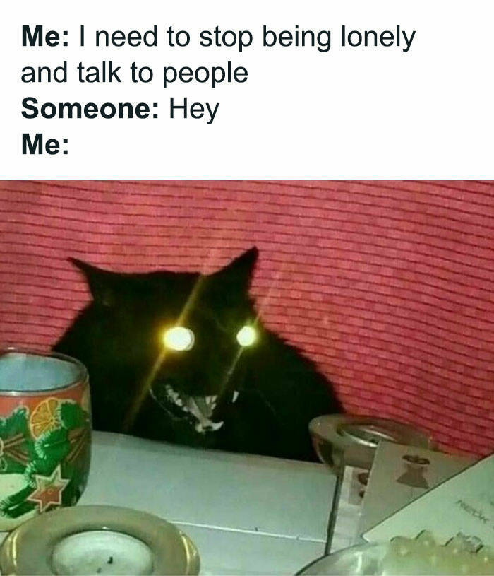 These Memes Are Both Funny And Relatable