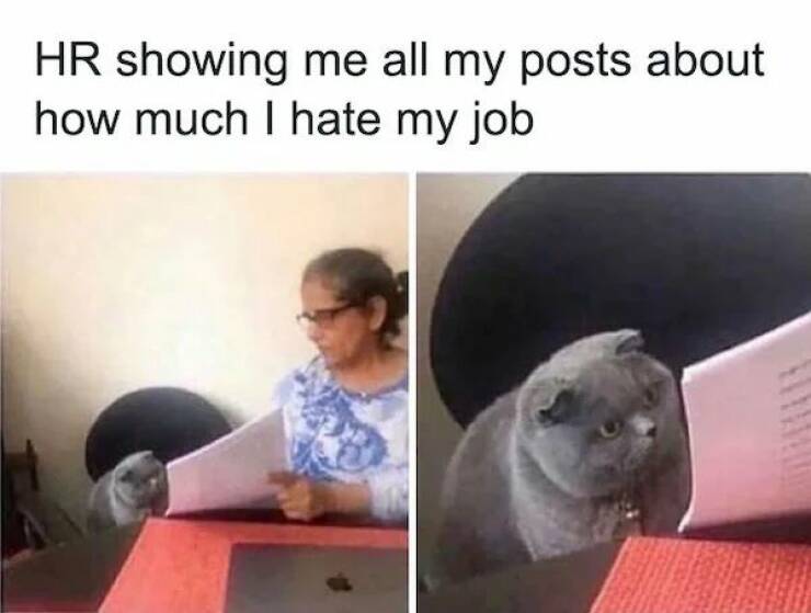 Finish Your Week With These Hilarious Work Memes