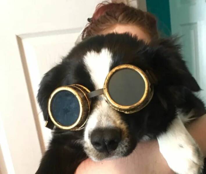 Good Vibes Only: A Dose Of Wholesome For Your Spirit