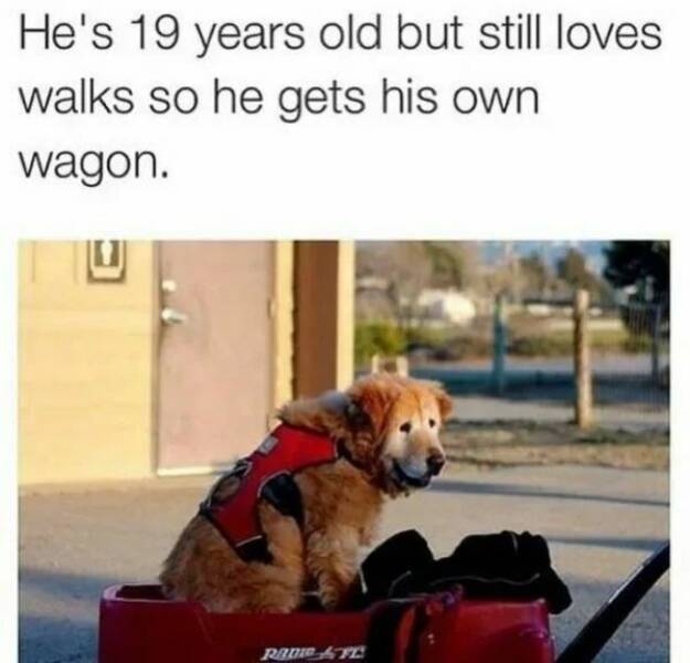Good Vibes Only: A Dose Of Wholesome For Your Spirit