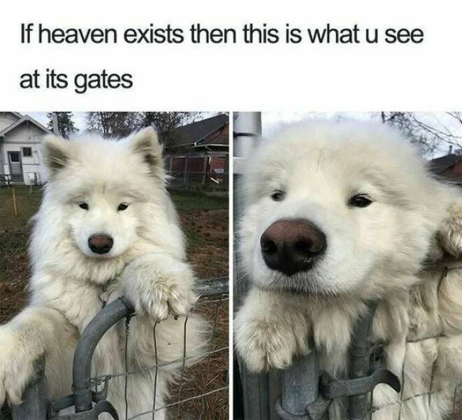 Good Vibes Only: A Dose Of Wholesome For Your Spirit