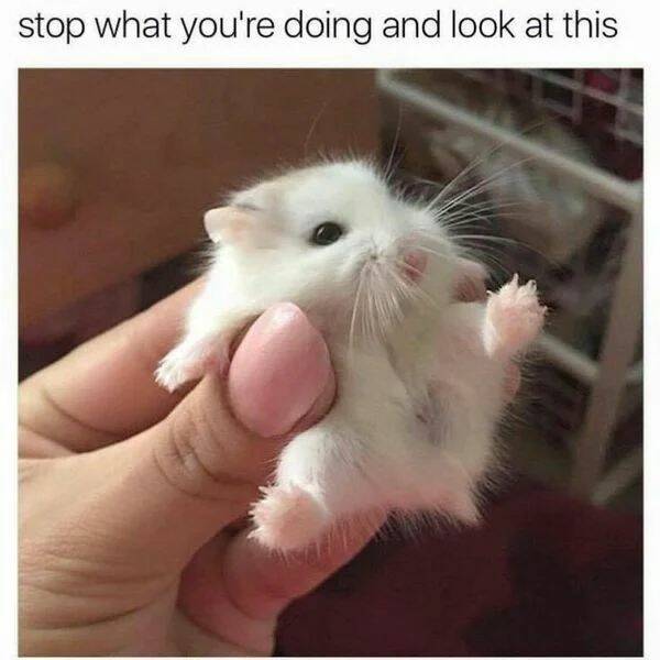 Good Vibes Only: A Dose Of Wholesome For Your Spirit
