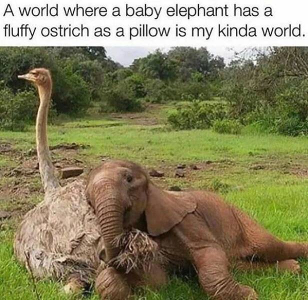 Good Vibes Only: A Dose Of Wholesome For Your Spirit