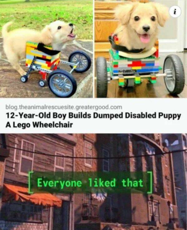 Good Vibes Only: A Dose Of Wholesome For Your Spirit