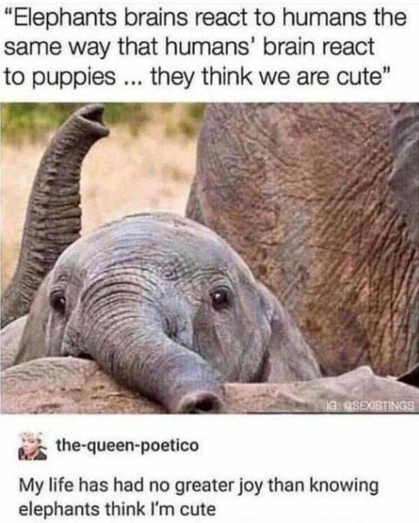 Good Vibes Only: A Dose Of Wholesome For Your Spirit
