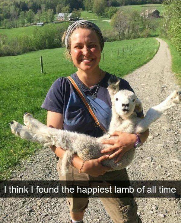 Good Vibes Only: A Dose Of Wholesome For Your Spirit