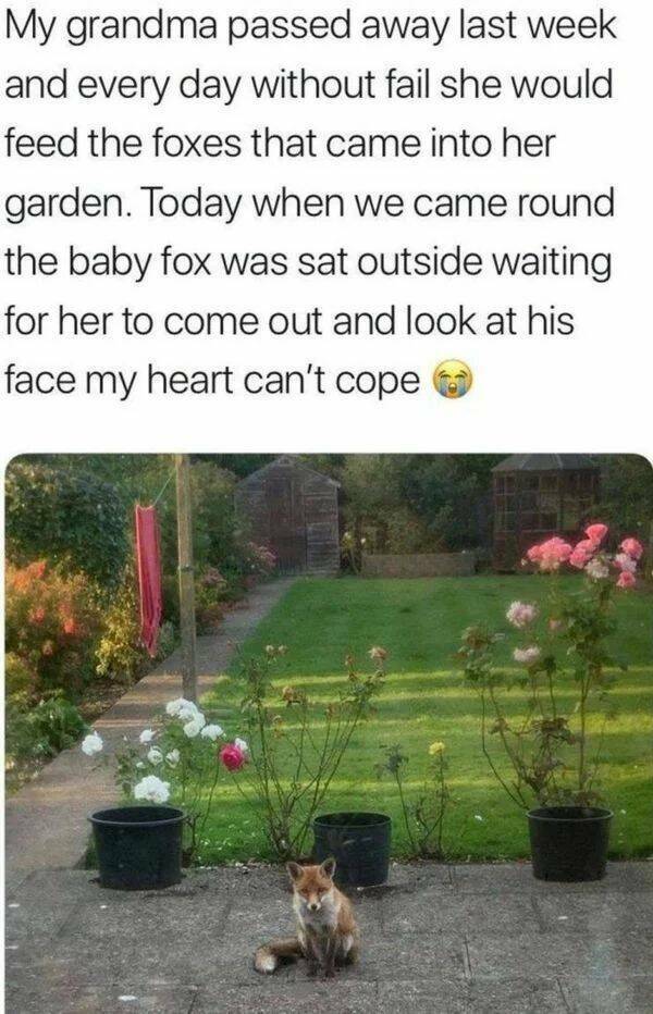 Good Vibes Only: A Dose Of Wholesome For Your Spirit